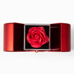 Wherever Life Takes You — Alluring Beauty Necklace & Red Rose Gift Box